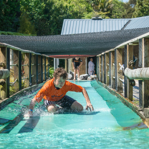 Slip and Slide- Waimarino Adventure Park