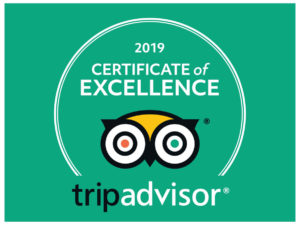Waimarino Adventure Park | Trip Advisor Certificate of Excellence
