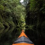 Daytime Kayak Tauranga 